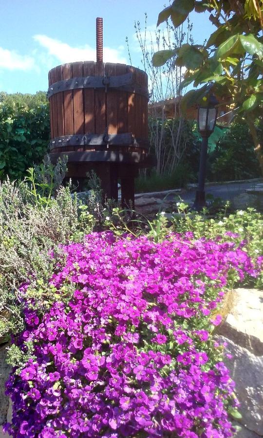 Lou Mas dau Paigran Saint-Blaise (Alpes-Maritimes) Exterior foto