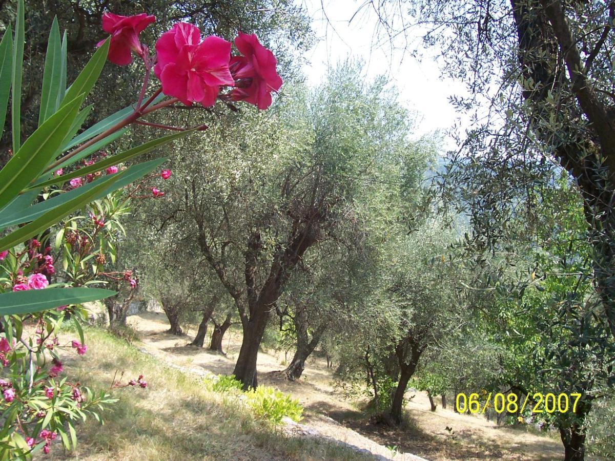 Lou Mas dau Paigran Saint-Blaise (Alpes-Maritimes) Exterior foto